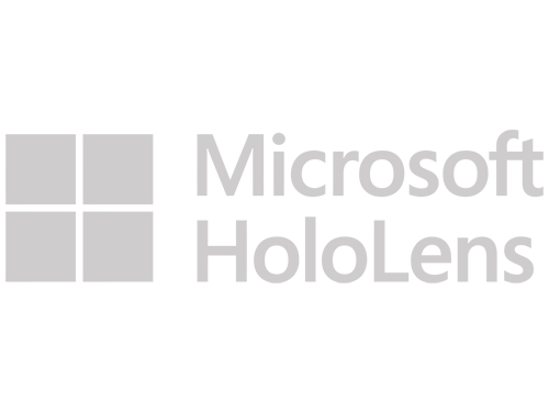 Logo__0008_MS-Holo